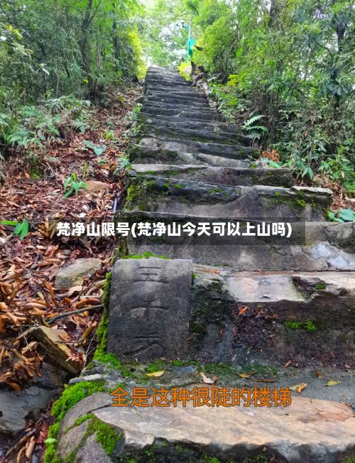 梵净山限号(梵净山今天可以上山吗)