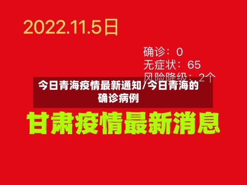 今日青海疫情最新通知/今日青海的确诊病例-第2张图片