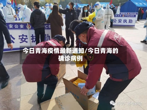 今日青海疫情最新通知/今日青海的确诊病例-第3张图片