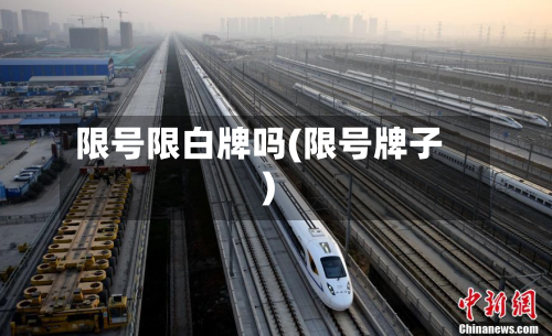 限号限白牌吗(限号牌子)-第2张图片