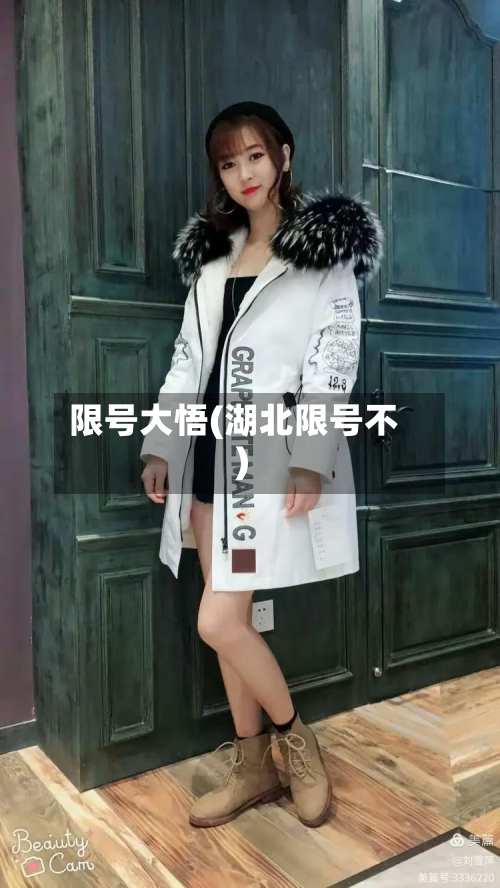 限号大悟(湖北限号不)