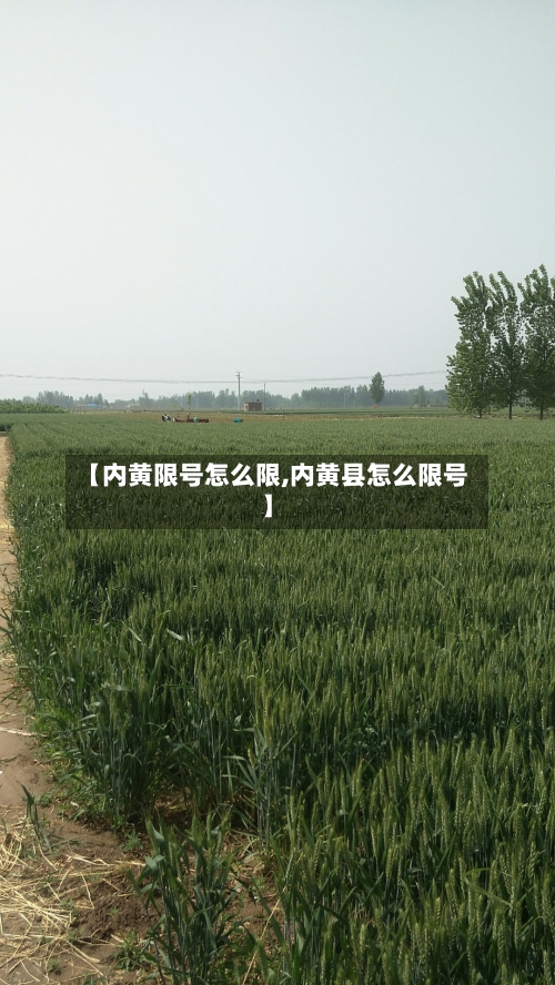 【内黄限号怎么限,内黄县怎么限号】-第2张图片