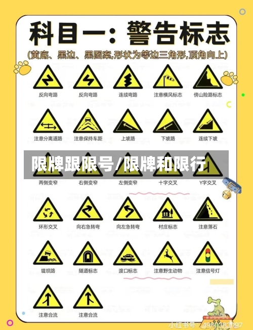 限牌跟限号/限牌和限行-第2张图片