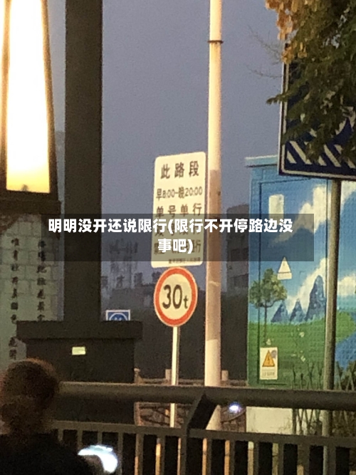 明明没开还说限行(限行不开停路边没事吧)-第2张图片