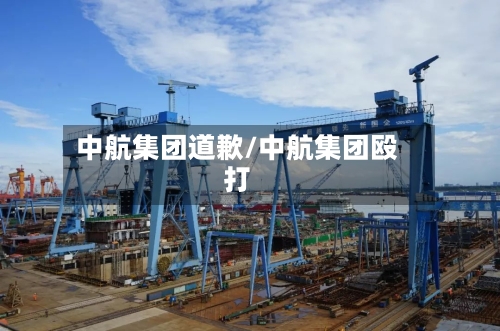 中航集团道歉/中航集团殴打-第2张图片