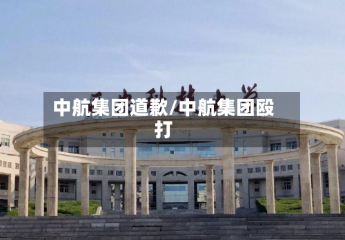 中航集团道歉/中航集团殴打