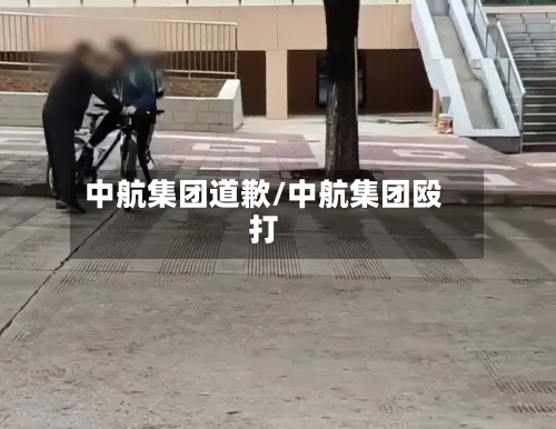 中航集团道歉/中航集团殴打-第3张图片