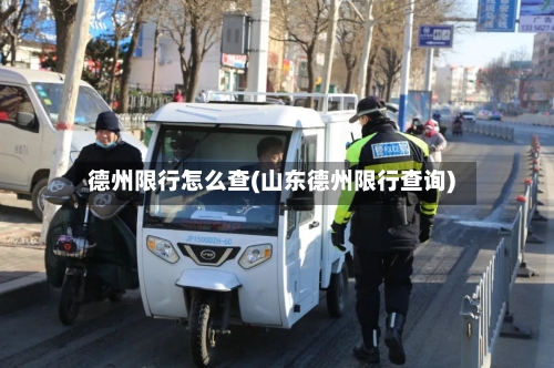 德州限行怎么查(山东德州限行查询)
