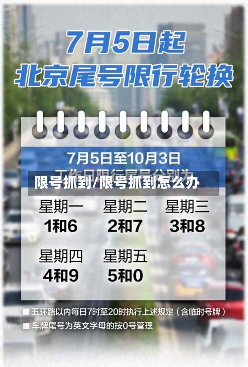 限号抓到/限号抓到怎么办-第3张图片
