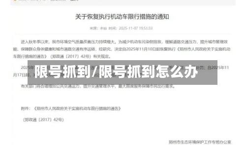 限号抓到/限号抓到怎么办-第2张图片