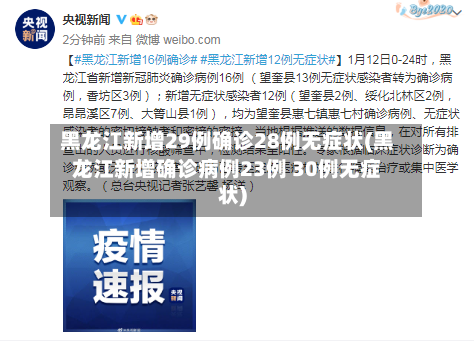 黑龙江新增29例确诊28例无症状(黑龙江新增确诊病例23例 30例无症状)-第2张图片