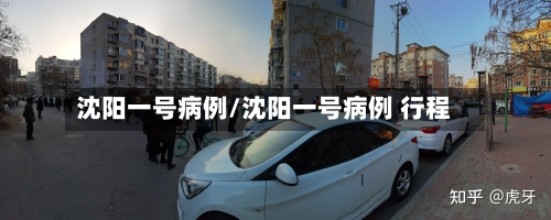 沈阳一号病例/沈阳一号病例 行程-第2张图片