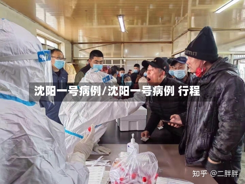 沈阳一号病例/沈阳一号病例 行程
