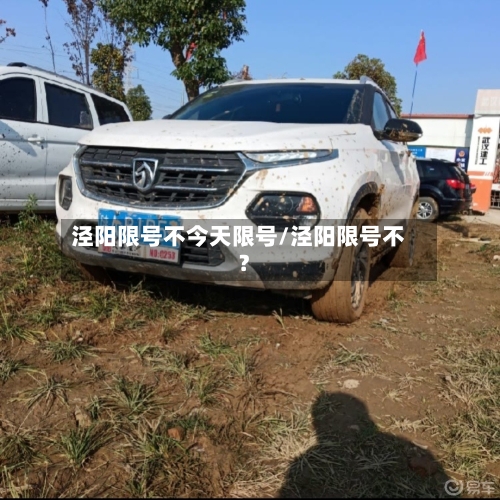 泾阳限号不今天限号/泾阳限号不?-第2张图片