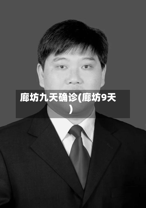 廊坊九天确诊(廊坊9天)