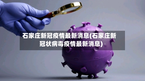 石家庄新冠疫情最新消息(石家庄新冠状病毒疫情最新消息)-第3张图片
