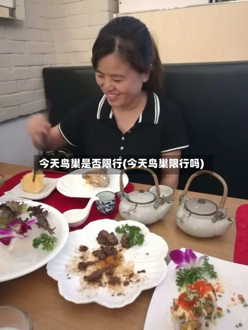 今天鸟巢是否限行(今天鸟巢限行吗)