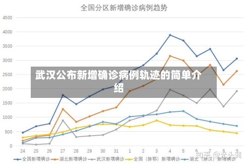 武汉公布新增确诊病例轨迹的简单介绍-第2张图片
