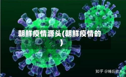 朝鲜疫情源头(朝鲜疫情的)-第2张图片