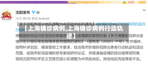 【上海确诊病例,上海确诊病例行动轨迹】-第3张图片