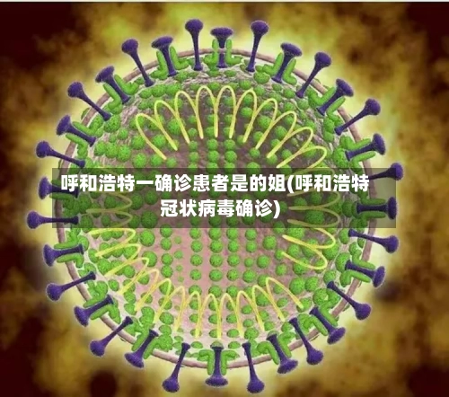 呼和浩特一确诊患者是的姐(呼和浩特冠状病毒确诊)