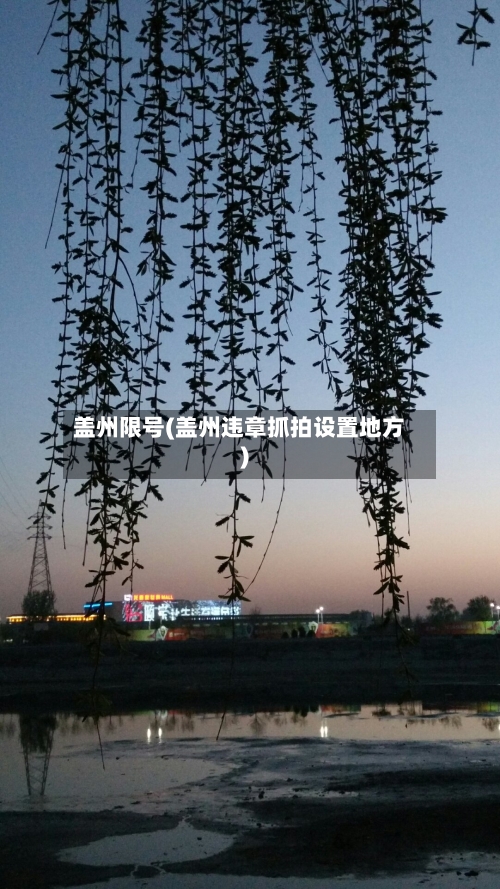 盖州限号(盖州违章抓拍设置地方)-第3张图片
