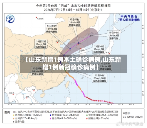 【山东新增1例本土确诊病例,山东新增1例新冠确诊病例】-第2张图片