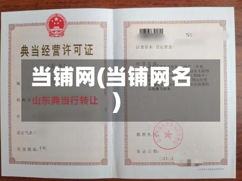 当铺网(当铺网名)