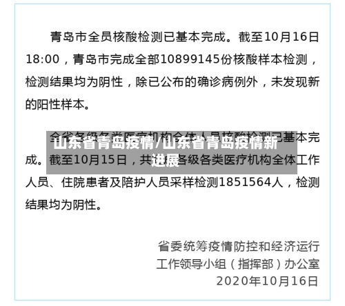 山东省青岛疫情/山东省青岛疫情新进展-第2张图片