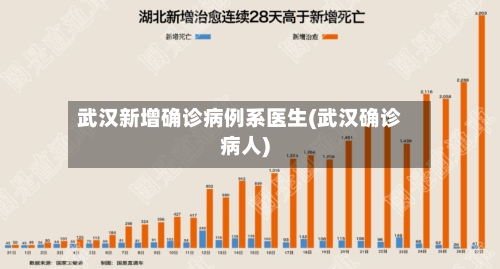 武汉新增确诊病例系医生(武汉确诊病人)-第2张图片