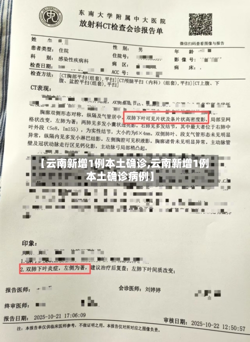 【云南新增1例本土确诊,云南新增1例本土确诊病例】-第2张图片