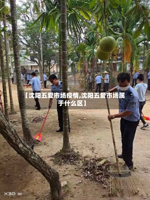 【沈阳五爱市场疫情,沈阳五爱市场属于什么区】