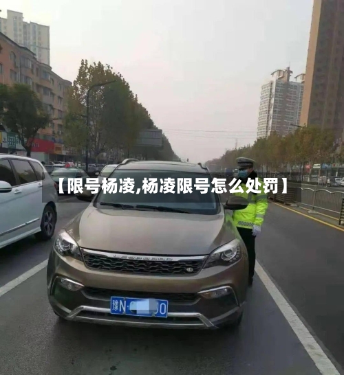 【限号杨凌,杨凌限号怎么处罚】-第3张图片
