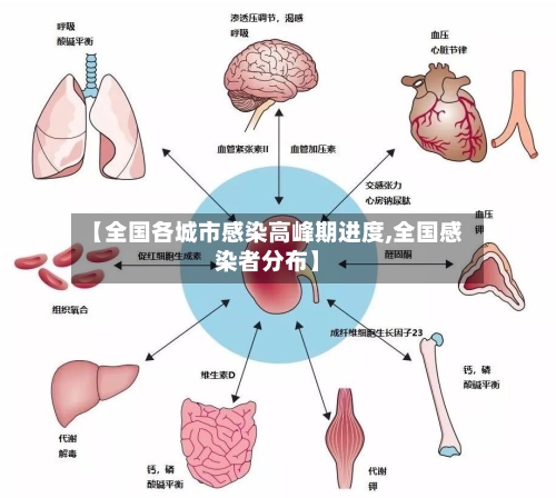 【全国各城市感染高峰期进度,全国感染者分布】-第3张图片