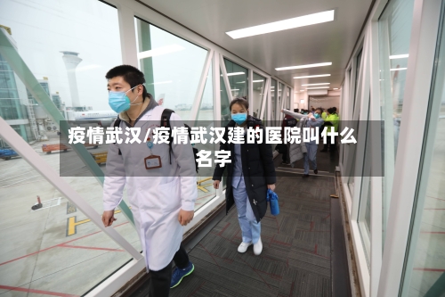 疫情武汉/疫情武汉建的医院叫什么名字