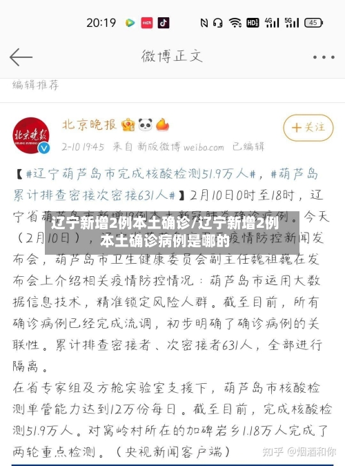 辽宁新增2例本土确诊/辽宁新增2例本土确诊病例是哪的
