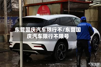 东营国庆汽车限行不/东营国庆汽车限行不限号-第2张图片