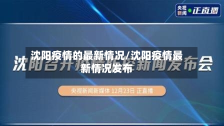 沈阳疫情的最新情况/沈阳疫情最新情况发布-第3张图片