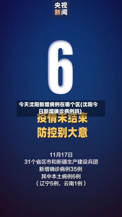 今天沈阳新增病例在哪个区(沈阳今日新增确诊病例吗)-第2张图片