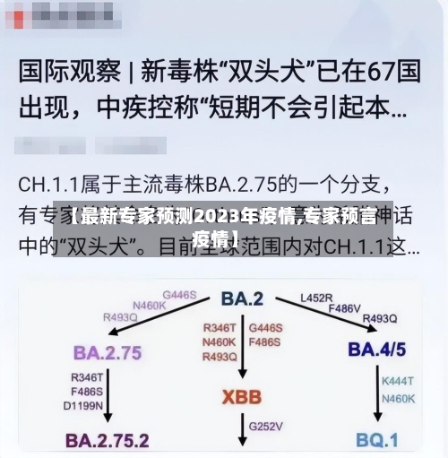 【最新专家预测2023年疫情,专家预言疫情】-第2张图片