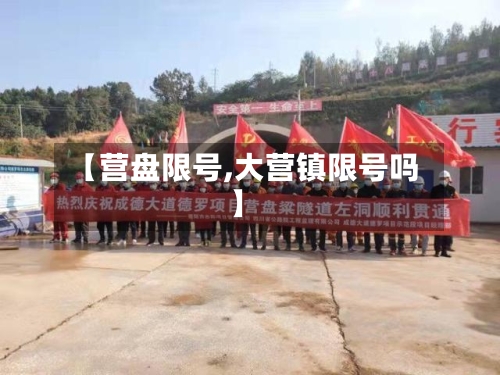 【营盘限号,大营镇限号吗】