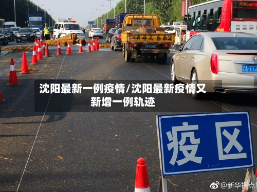 沈阳最新一例疫情/沈阳最新疫情又新增一例轨迹-第2张图片