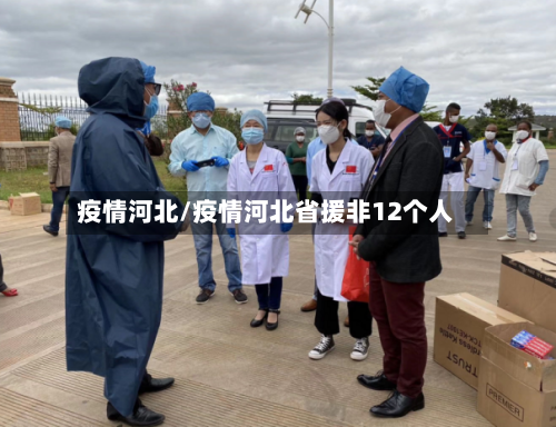 疫情河北/疫情河北省援非12个人
