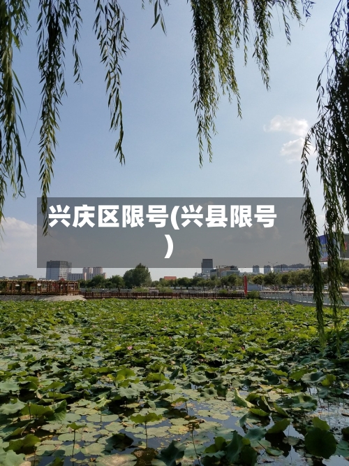 兴庆区限号(兴县限号)-第3张图片