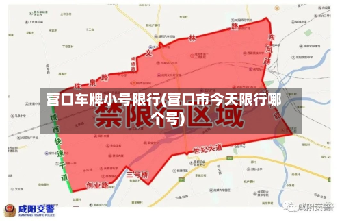 营口车牌小号限行(营口市今天限行哪个号)