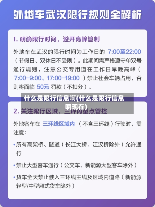 什么是限行信息啊(什么是限行信息啊现在)-第2张图片