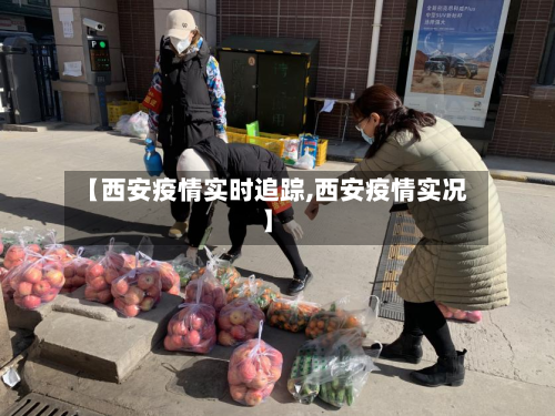 【西安疫情实时追踪,西安疫情实况】