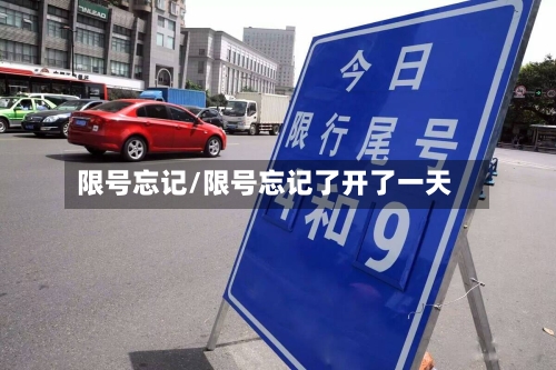 限号忘记/限号忘记了开了一天-第2张图片