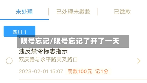 限号忘记/限号忘记了开了一天-第3张图片