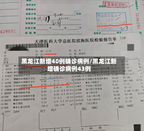 黑龙江新增40例确诊病例/黑龙江新增确诊病例43例